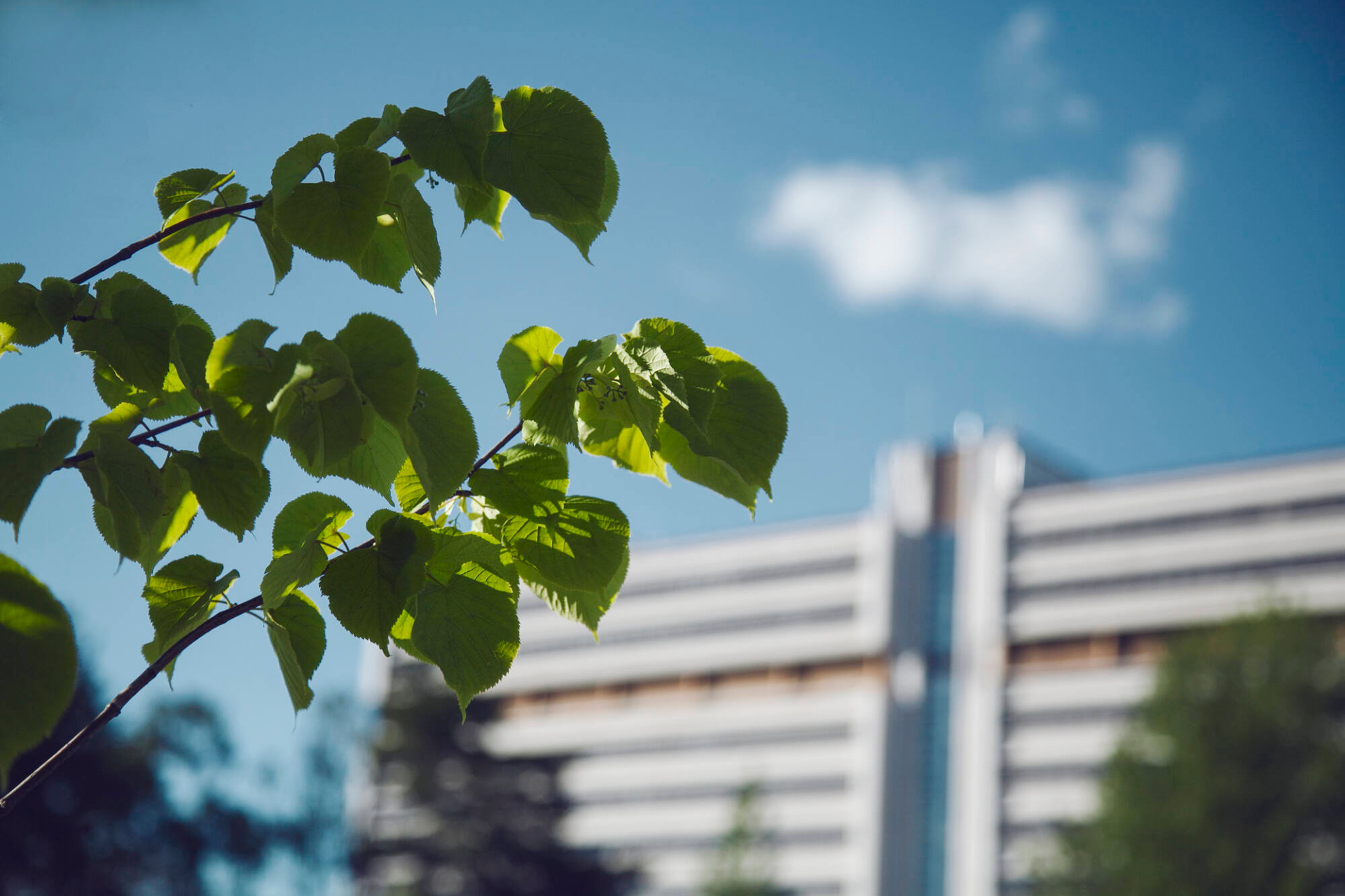 Tunnettu maamerkki Kouvolassa. Pohjola-talo. Kauppamiehenkatu 4