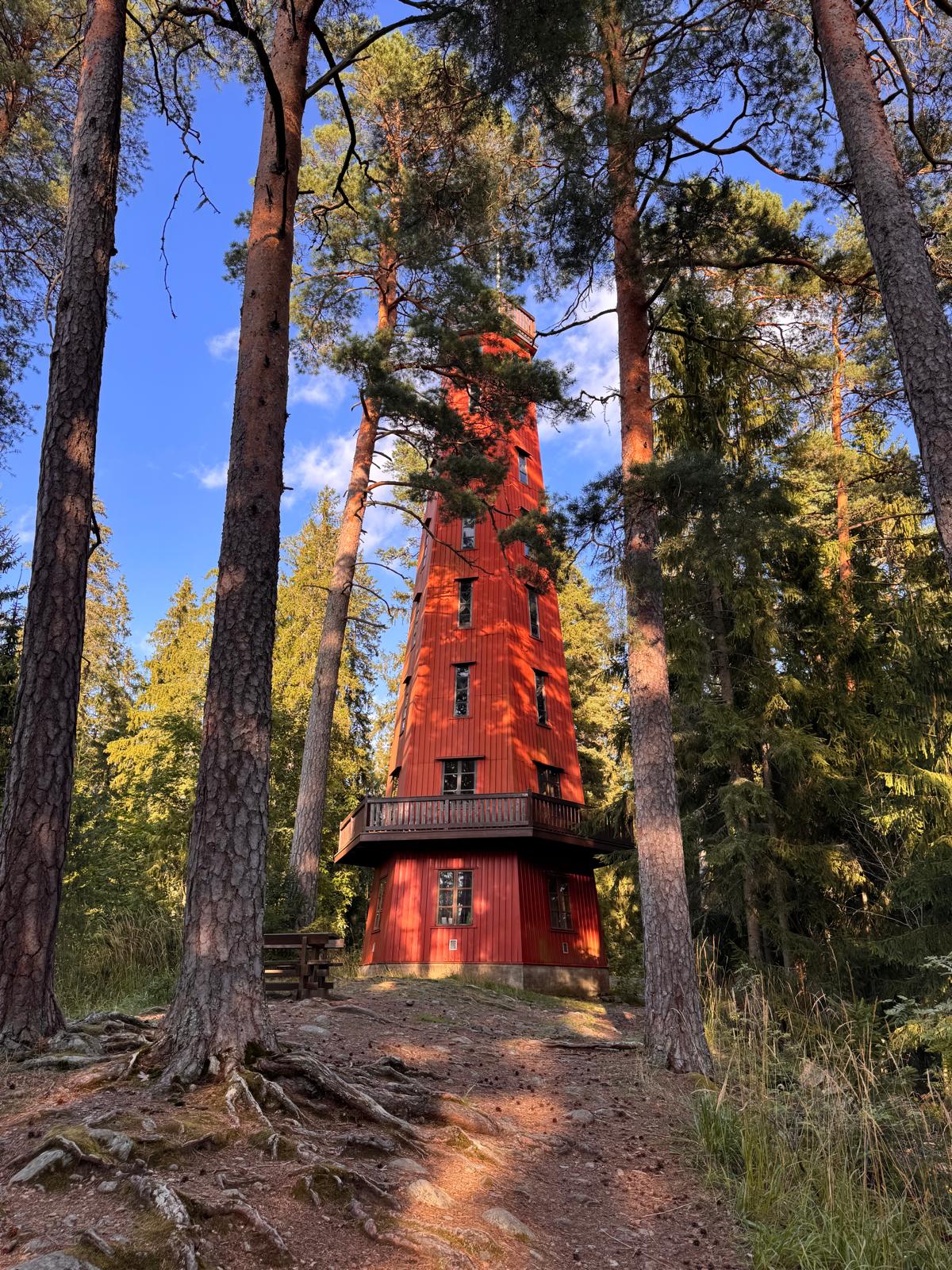 Kaukolanharjun näkötorni. Tammela